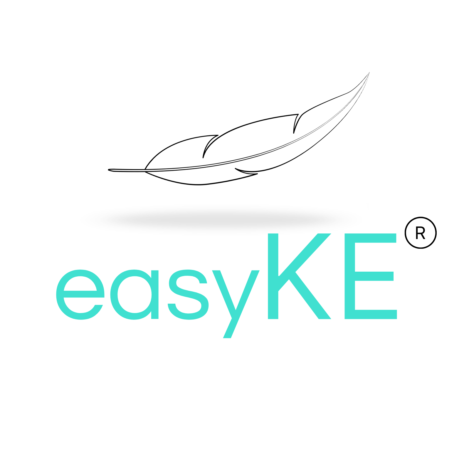 easyKE Splash Logo